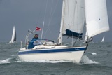 halley 2932c halley 2932c whyw25 fri 800_7543